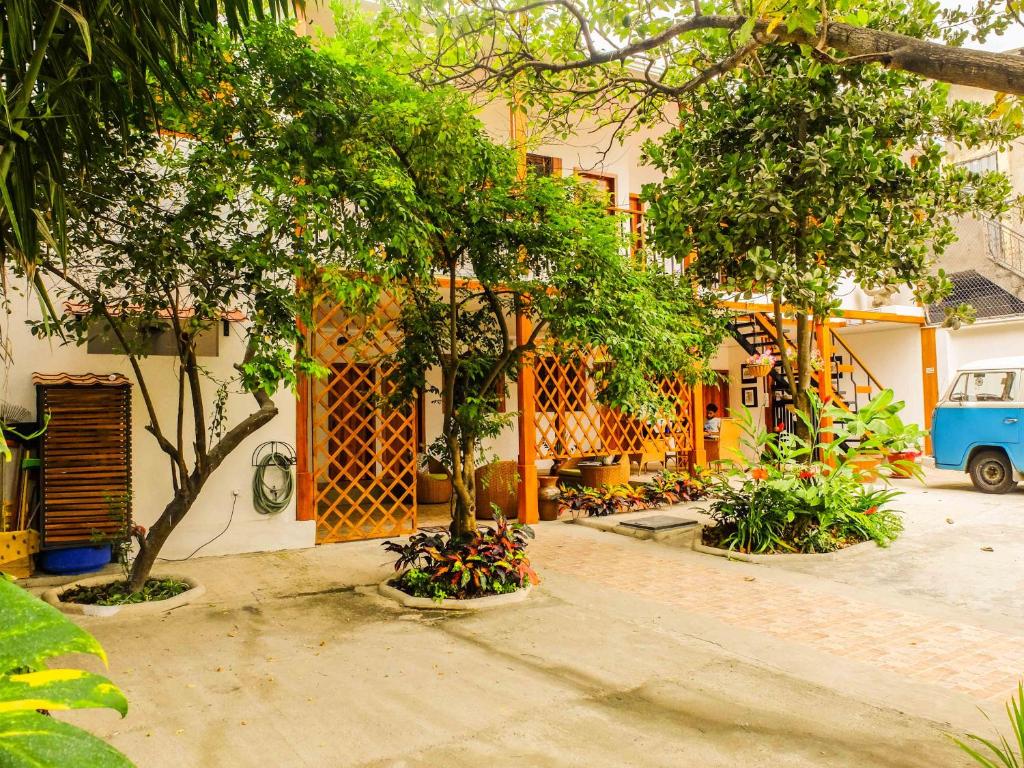 Zahrada ubytování Hotel Boutique Platanal