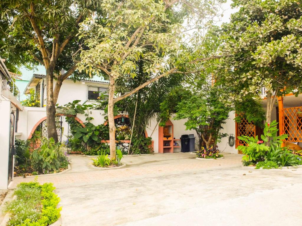 Zahrada ubytování Hotel Boutique Platanal