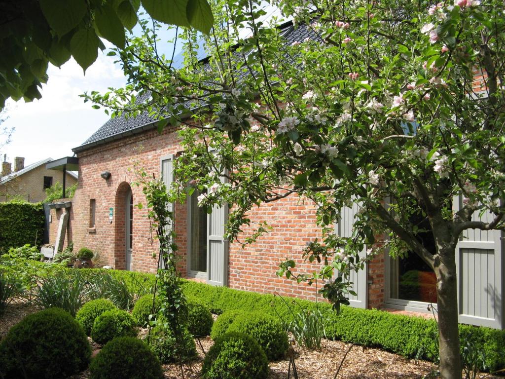 une maison en briques avec un arbre devant elle dans l'établissement B&B De Kastanjeboom, à Jabbeke