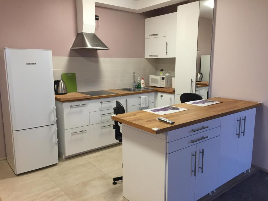 a kitchen with a white refrigerator and a counter at Svitrigailos-in-center in Vilnius