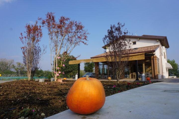 a large orange sitting on a sidewalk in front of a house at agriturismo campogrande in Carpaneto Piacentino