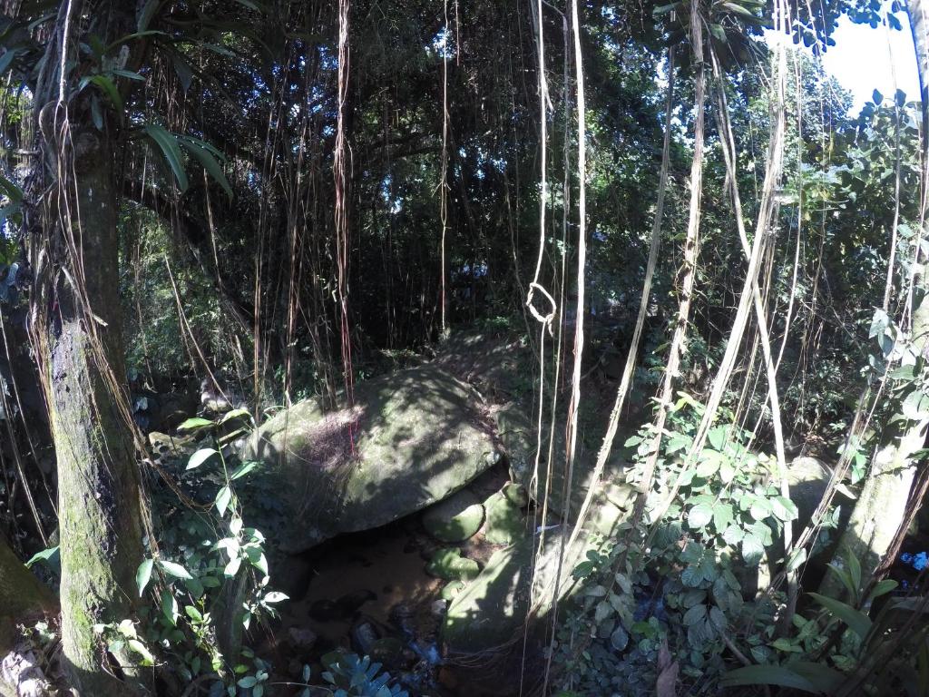  Pousada Guapuruvu