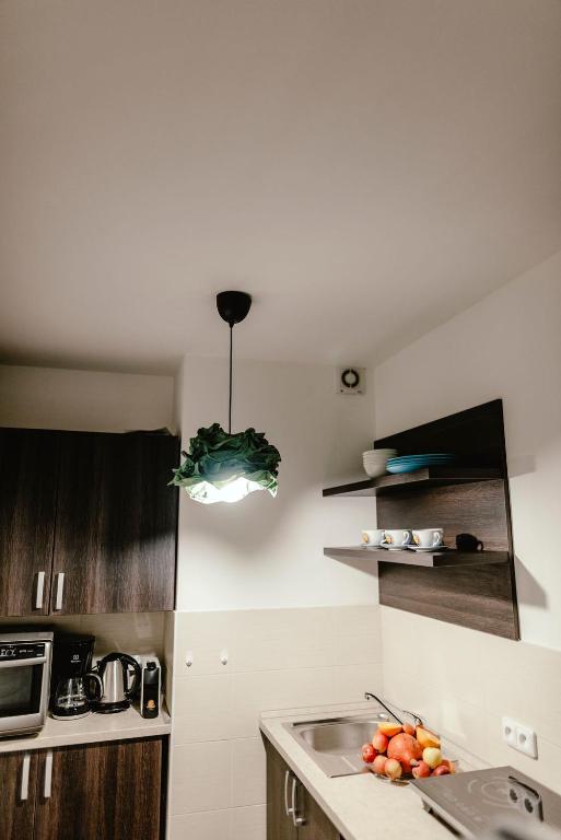 Fotografie z fotogalerie ubytování Zelný trh 30 v destinaci Brno
