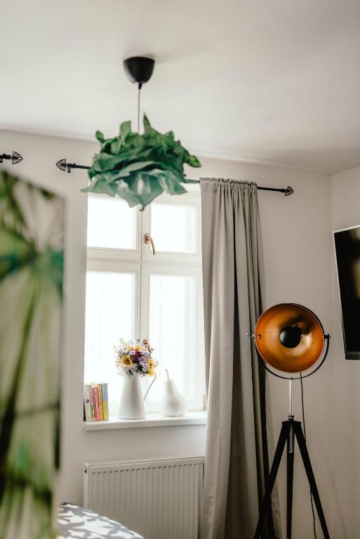 Fotografie z fotogalerie ubytování Zelný trh 30 v destinaci Brno