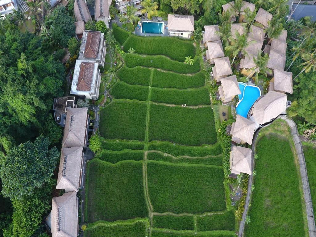 una vista aérea de un campo de hierba en Biyukukung Suite & Spa, en Ubud