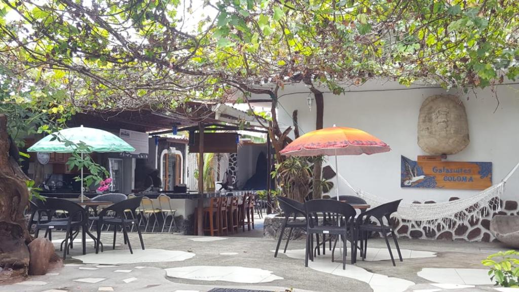 Zahrada ubytování Hotel Coloma Galapagos