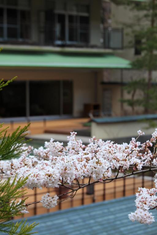 Zahrada ubytování Sakunami Onsen Yuzukushi Salon Ichinobo