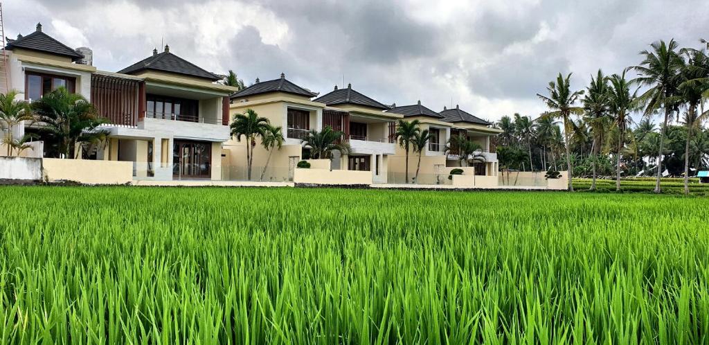 una fila de casas y un campo de hierba verde en RC ubud villa en Ubud