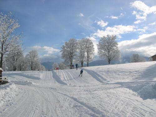 Alpenbad v zime
