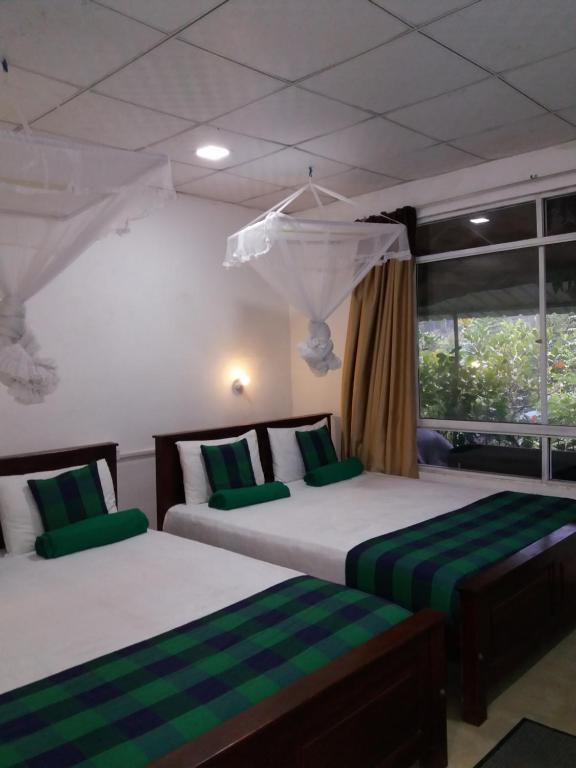 Ella green stay - 10