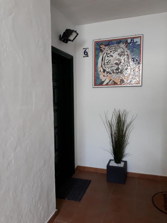 Fotografie z fotogalerie ubytování apartamento MAKTUB v destinaci Puerto del Carmen