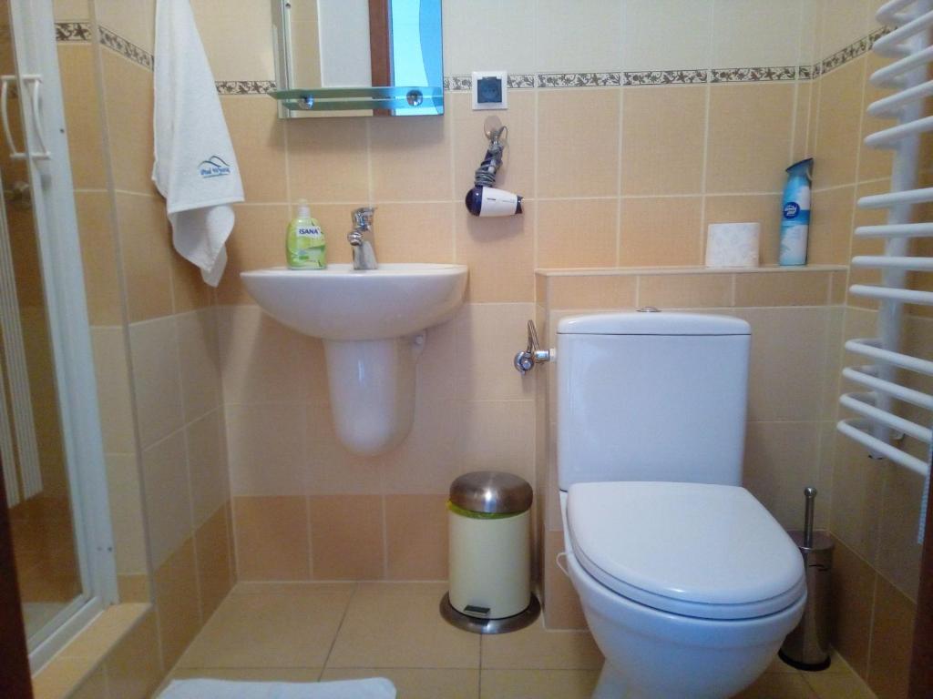 Kúpeľňa v ubytovaní Pokoje Gościnne Pod Wysotą