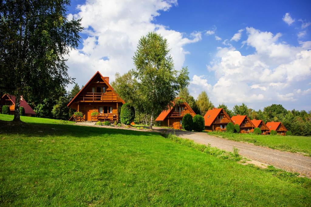 a row of wooden houses on a green field at Chaty Lesko-Ski in Lesko