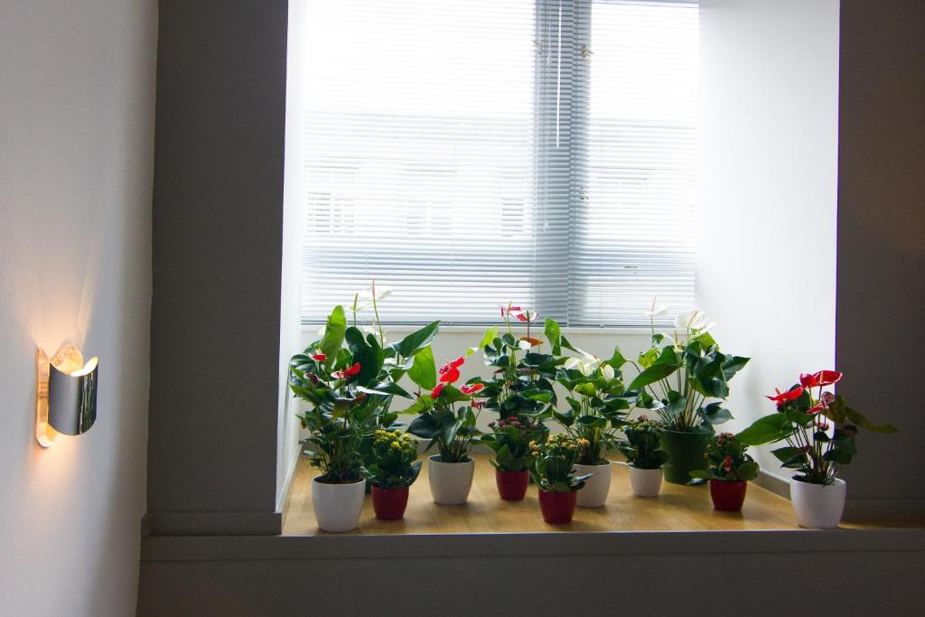 Garden Hotel - Resim 40