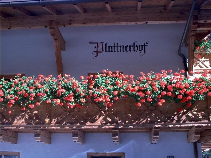 Fotografie z fotogalerie ubytování Plattnerhof Kaunertal v destinaci Kaunertal