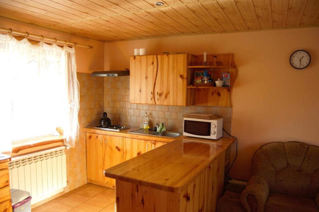 kuchnia z drewnianymi szafkami i kuchenką mikrofalową na ladzie w obiekcie U Jędrusia w Polańczyku