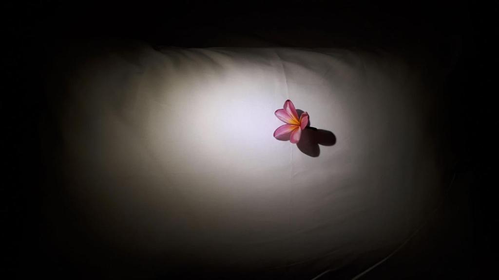 Fotografie z fotogalerie ubytování Bujang Lapuk Hostel v destinaci Sekotong