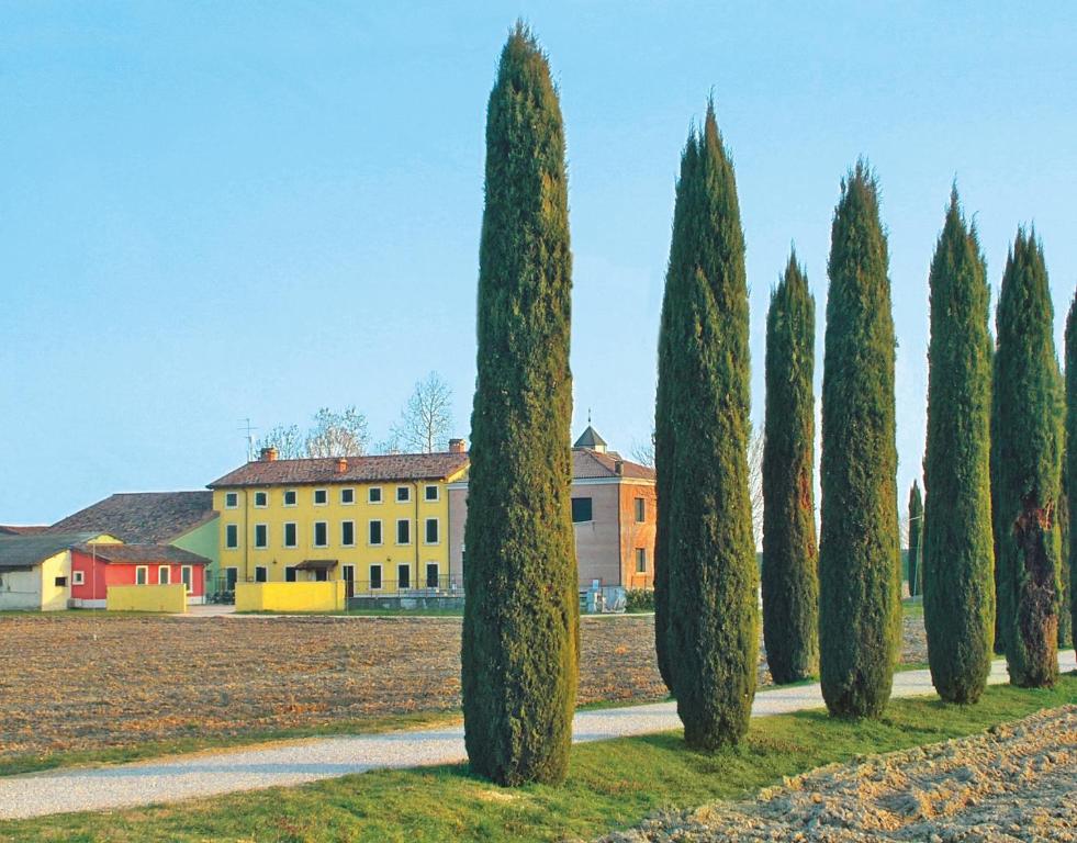 una fila di alberi di fronte a un edificio di BB Mambrotta a San Martino Buon Albergo