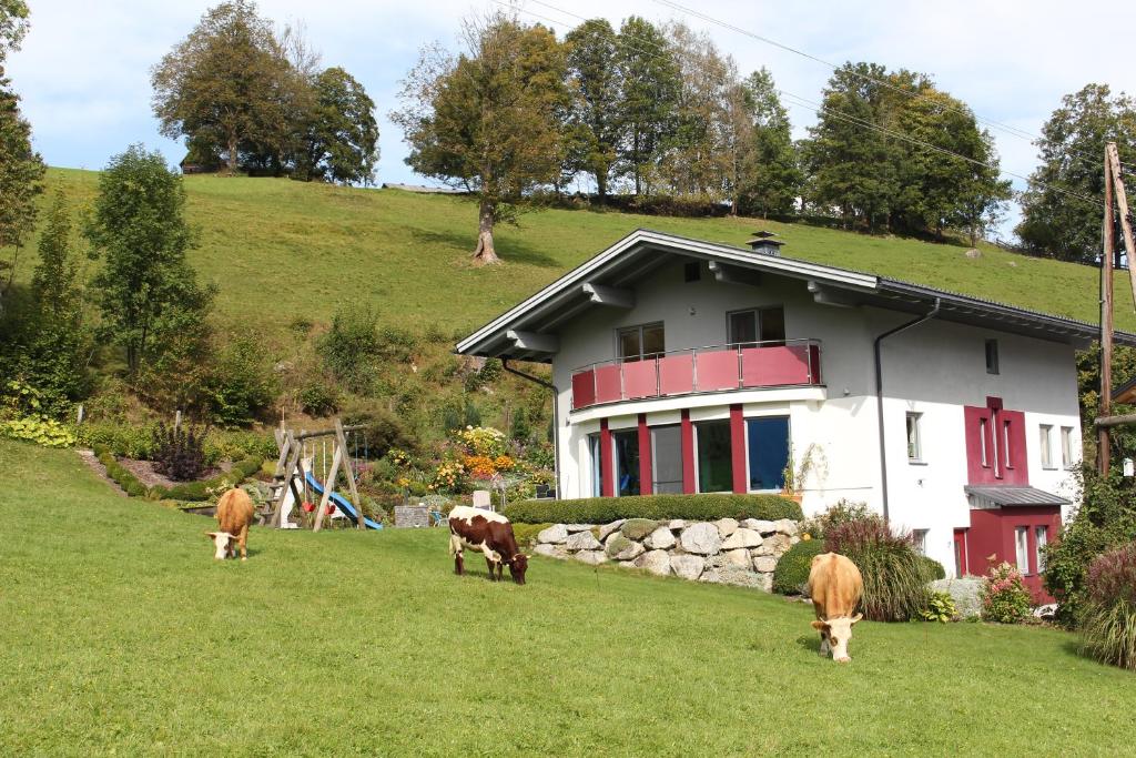 Zahrada ubytování Haus Lorenz