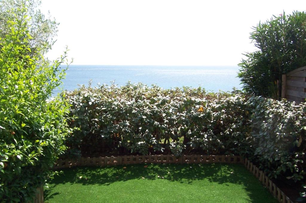 TarcuにあるYVETTEの海を背景に生垣のある庭園