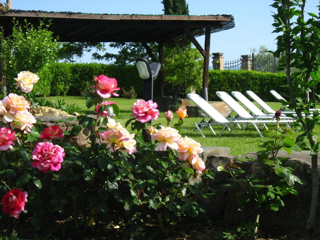 a group of chairs and flowers in a garden at Agriturismo Villani Poderi Nesti & Cupoli in Lastra a Signa