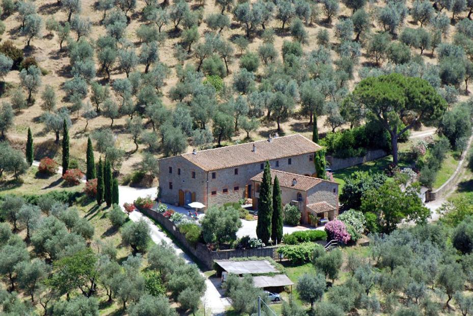 una vista aerea di una casa in un campo di BIOAGRITURISMO la Collina Casa Romeo a Larciano