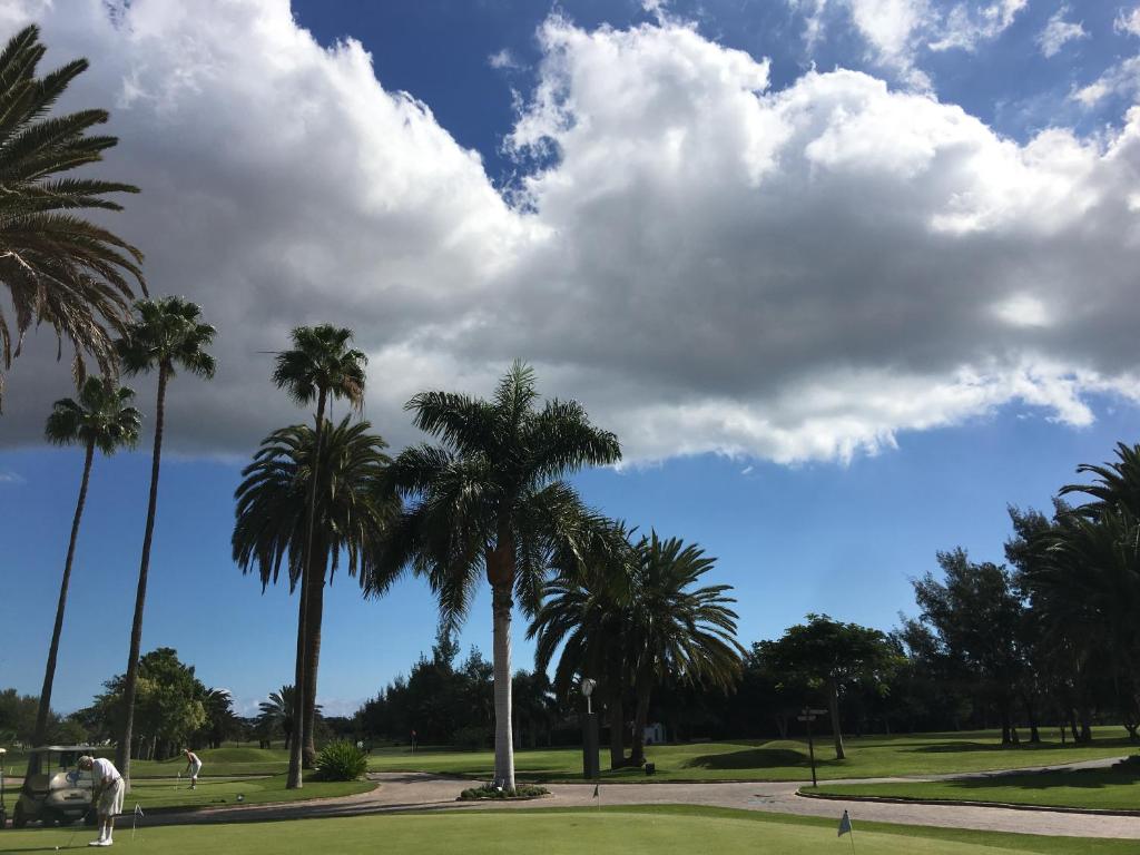 een groep palmbomen op een golfbaan bij Meloneras ideal in Meloneras