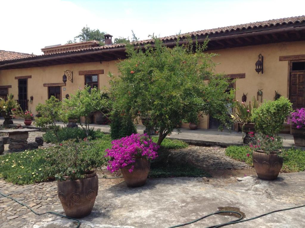 three potted trees in front of a house with flowers at Meson de San Antonio in Pátzcuaro