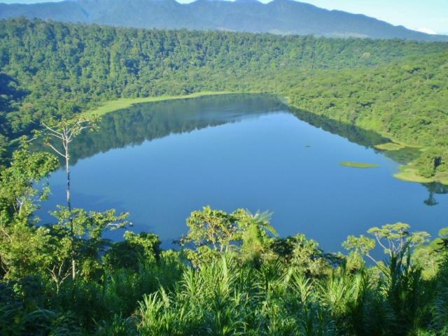 a large blue lake in the middle of a forest at Hostel Orozco - Costa Rica in Río Cuarto