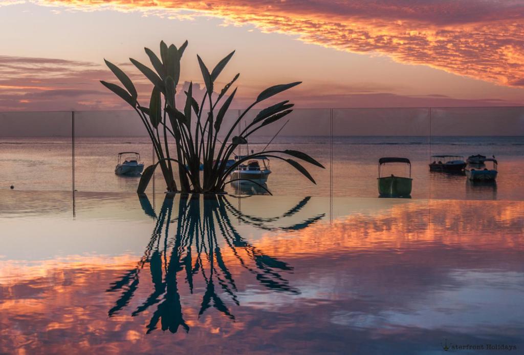 O'Biches Beachfront Complex - Trou aux Biches - 16