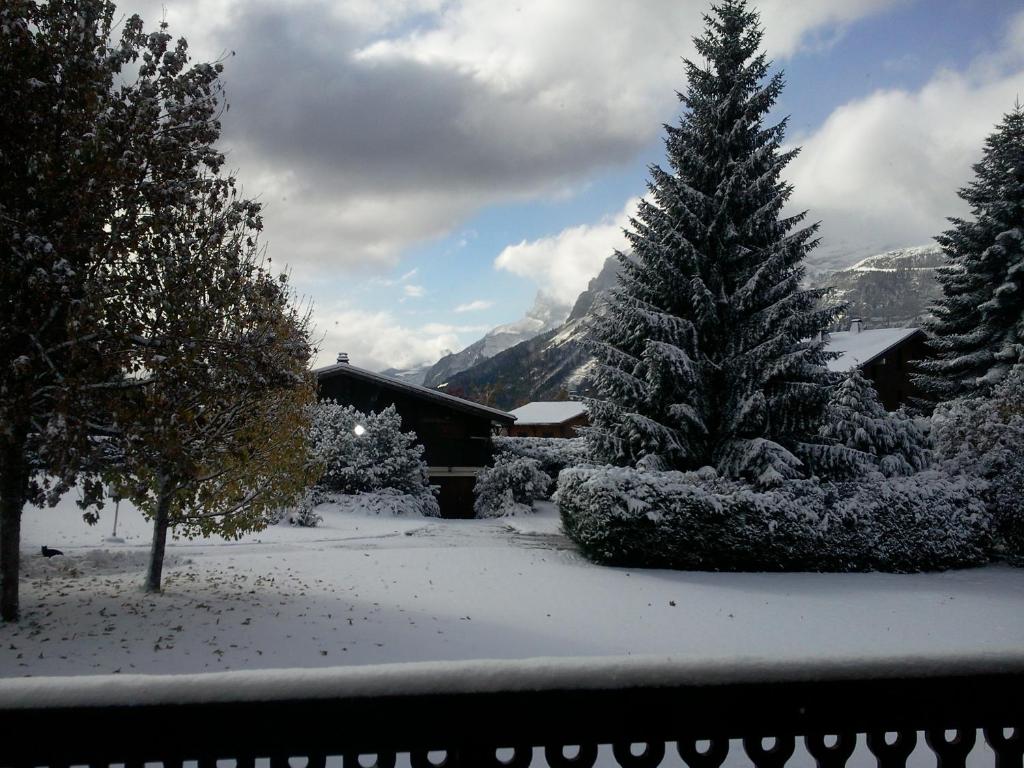 a snow covered yard with a house and a pine tree at Appartement les Carroz d'Arraches in Les Carroz d'Araches