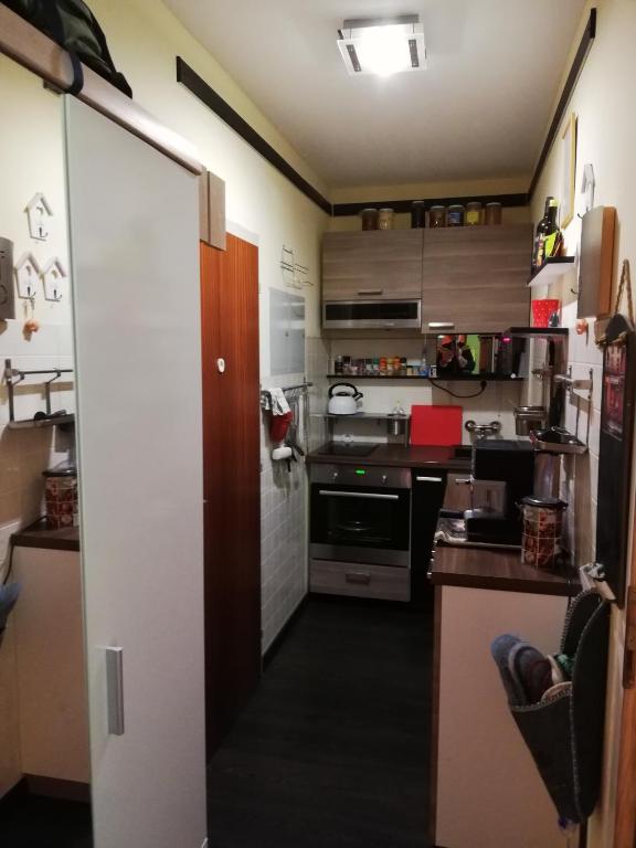 Kuchyň nebo kuchyňský kout v ubytování Appartement Schneerose