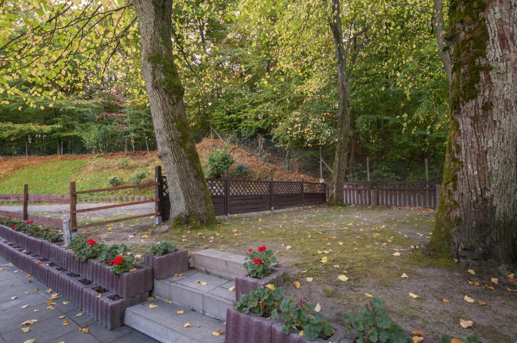 Hotel Grüne Tanne - Resim 10