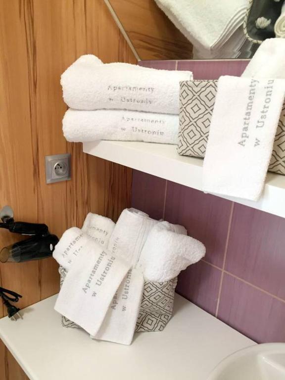 Apartamenty w Ustroniu - 9