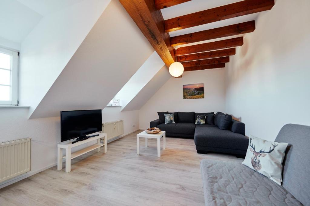 Una sala de estar con un sofá y un televisor. en Wohnung 3 - nur 5-10 min vom Europapark, en Ettenheim