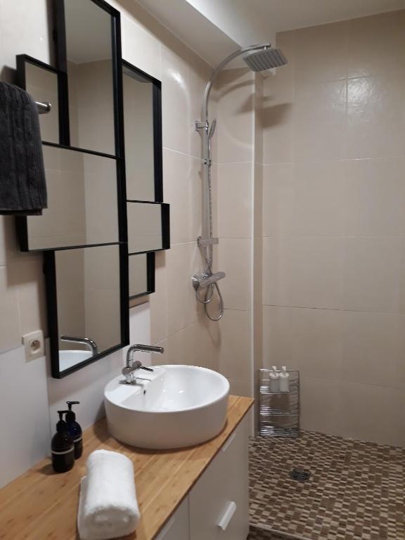 Koupelna v ubytování Panda Parc Appartment proche Pairi Daiza-Shape-Nato