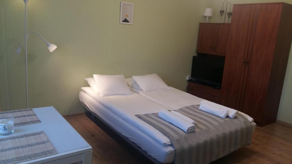 コジェニツェにあるApartament Kozieniceのベッドルーム1室(枕2つ付)