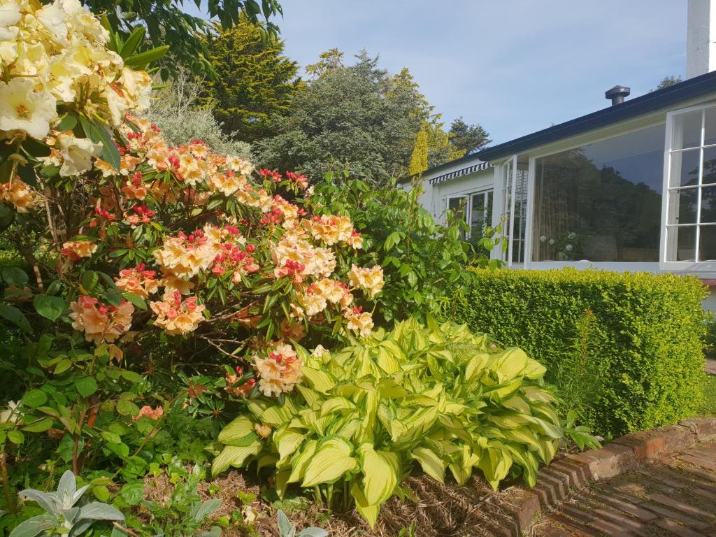 Whiteacres - Resim 28