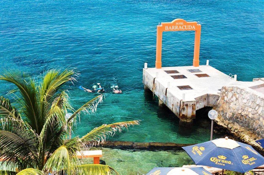Hotel Barracuda photo