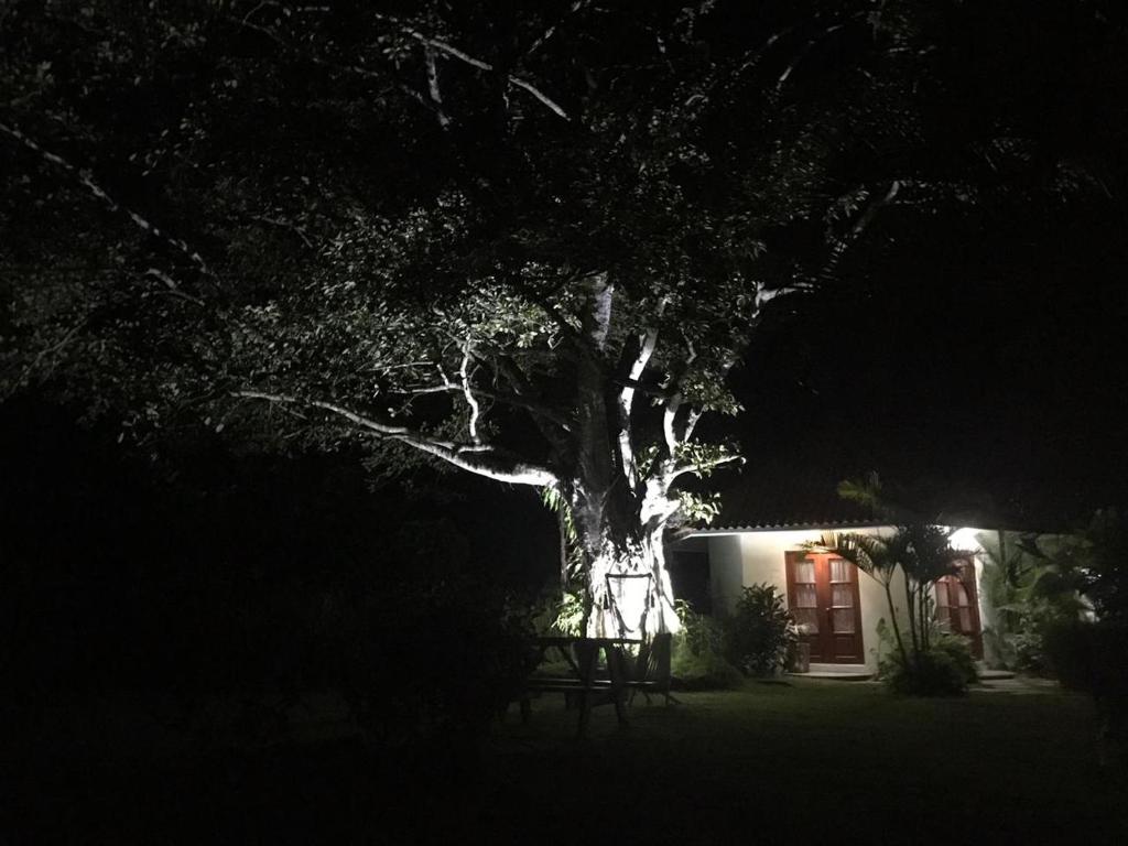 Fotografie z fotogalerie ubytování Cabañas La Casa de Pucha v destinaci Pedasí Town