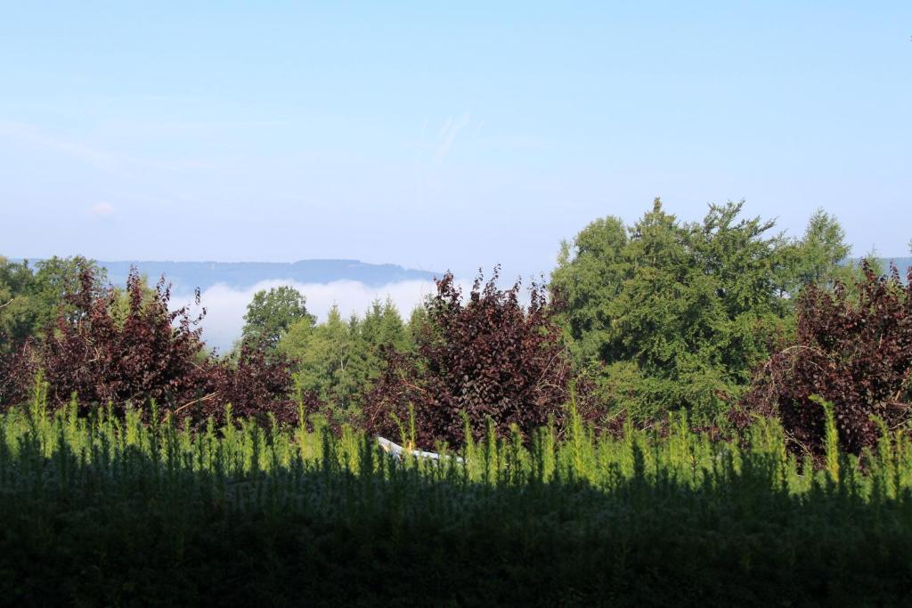 Příroda nedaleko bed and breakfast