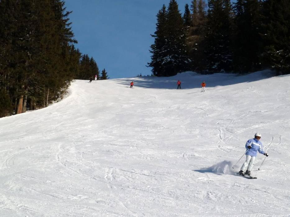 Lyžovanie pri apartmáne alebo v okolí
