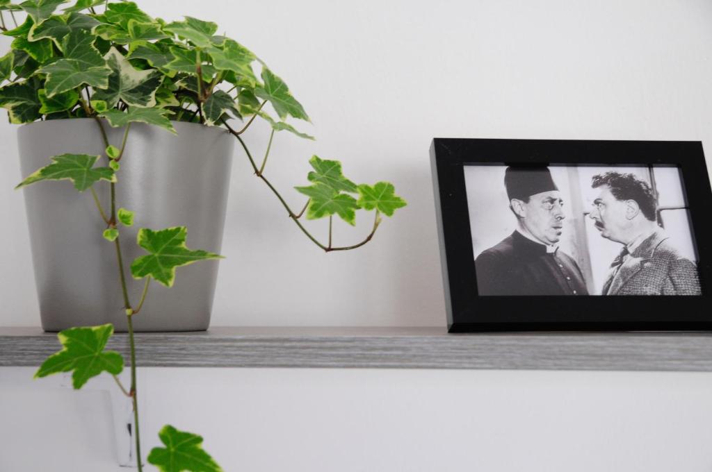 a picture of a couple on a shelf with a plant at Chez Laurent et Sandrine in Chantraine