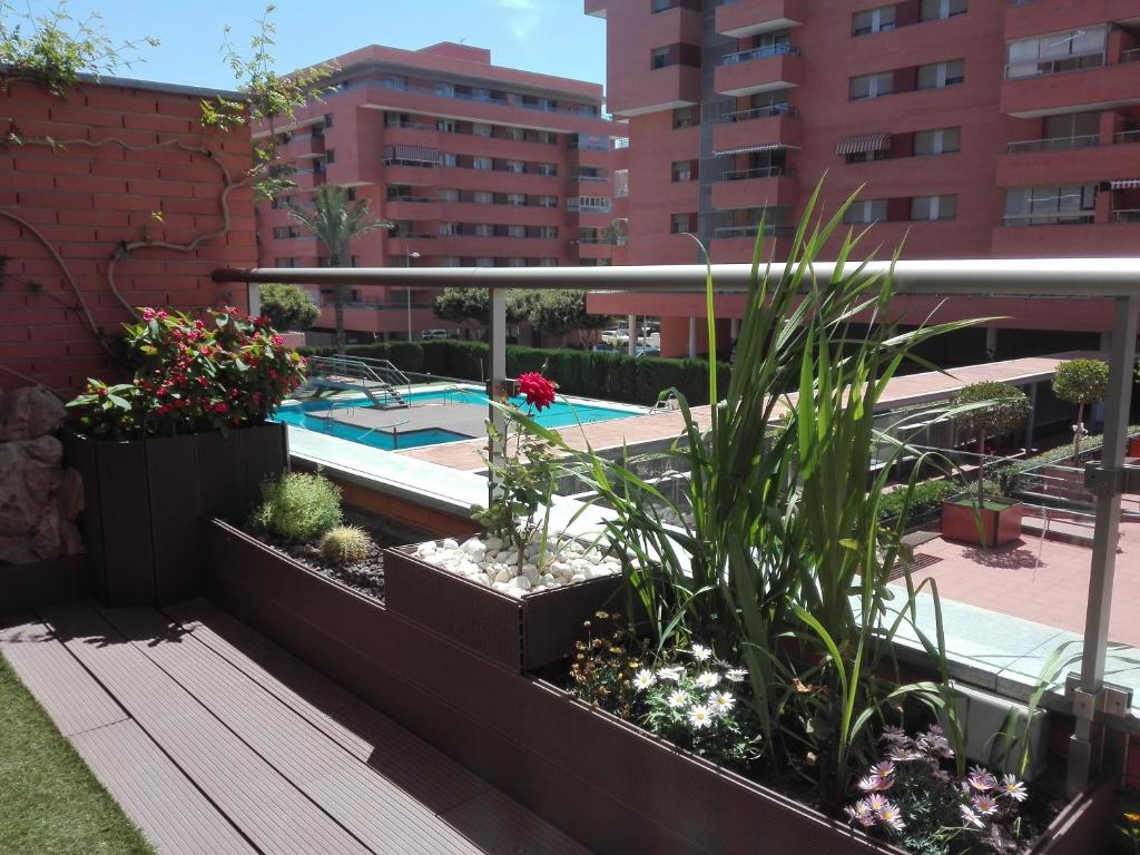 アルメリアにあるApartamento Algazulの植物のある屋上庭園、スイミングプールを提供しています。