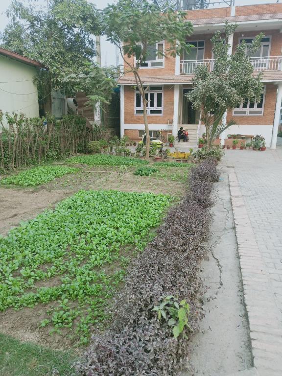 Zahrada ubytování 行者之家SUNFLOWER