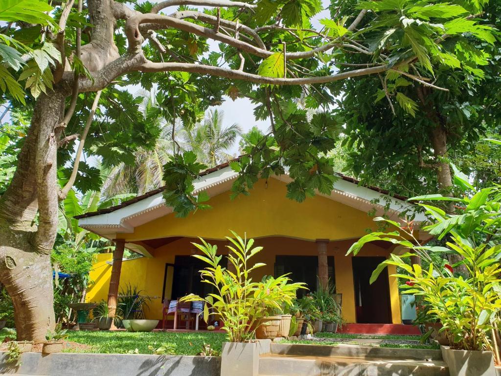 żółty dom z drzewem przed nim w obiekcie R&N Yellow House w mieście Hikkaduwa