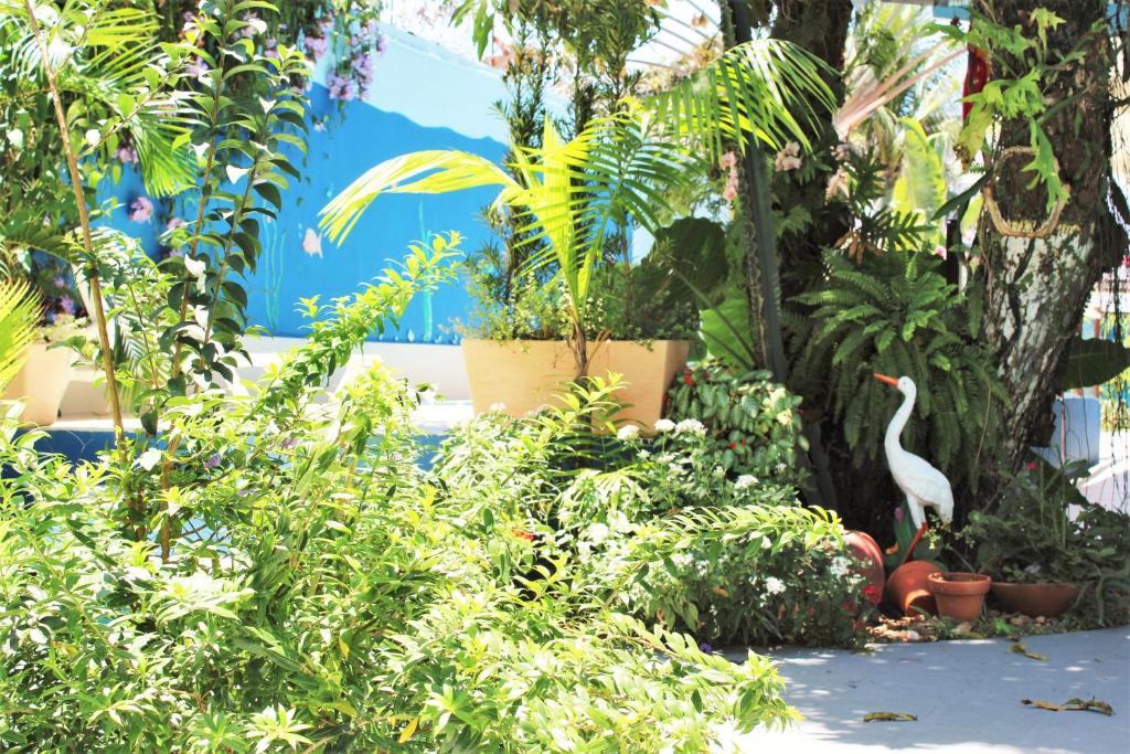 Um jardim em Porto Bahia Hotel