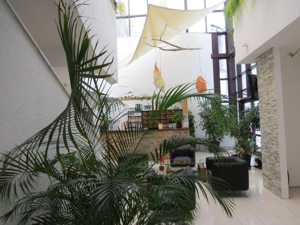 Zahrada ubytování Hotel Ballet School