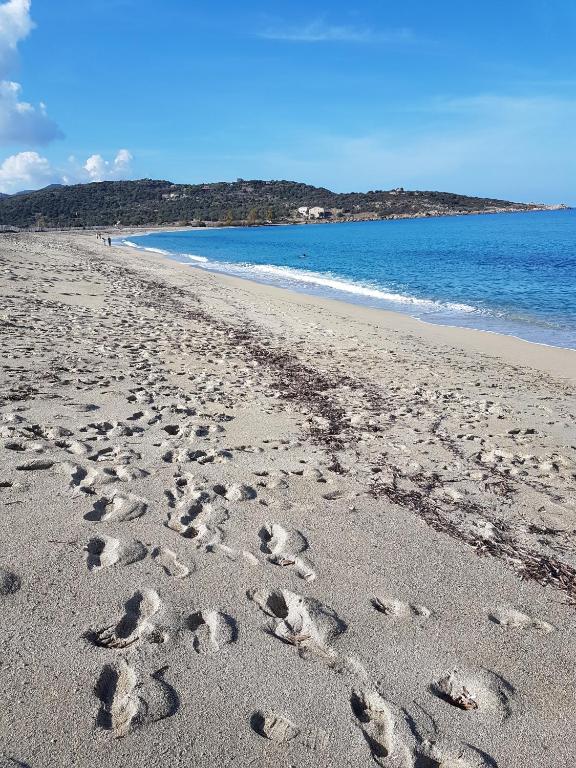 un groupe d’empreintes digitales dans le sable sur une plage dans l'établissement Chez Valérie et Stéphane, Les terrasses de Lozari, à Belgodère