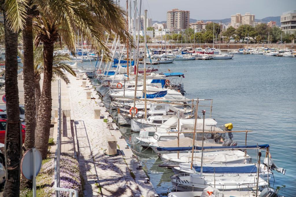 Portixol Hotel & Restaurant - 4